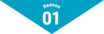 Reason01