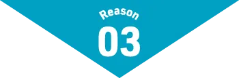 Reason03